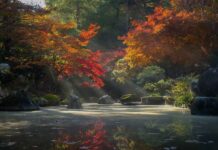 The Rise of Urban Forests in City Landscapes