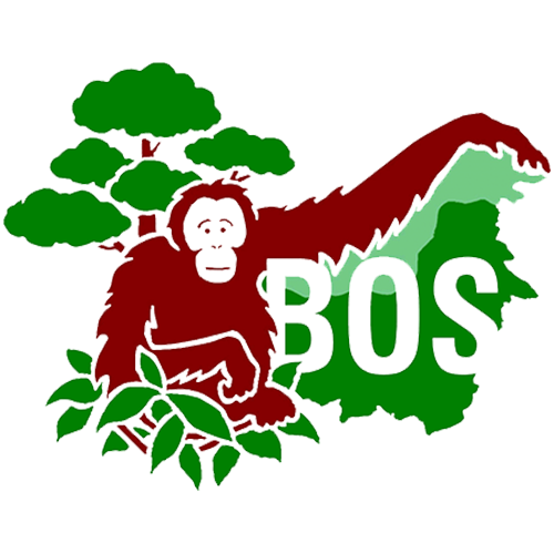 Borneo Orangutan Survival Foundation (BOSF)