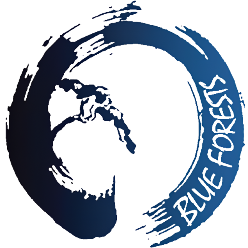 Blue Forest Yayasan Hutan Biru