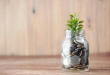 Kolaborasi Bappenas dan GGGI, Targetkan Investasi Ekonomi Hijau Rp35,6 Triliun Melalui GIFT